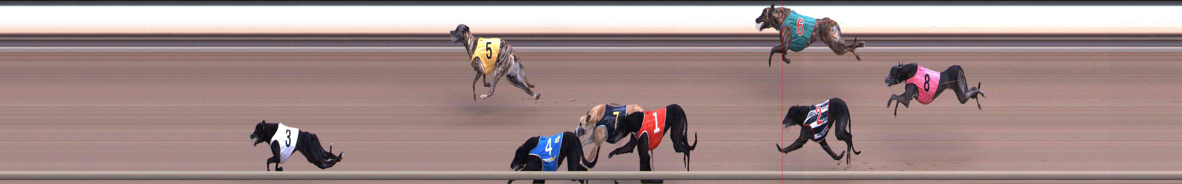 Race result finish photo